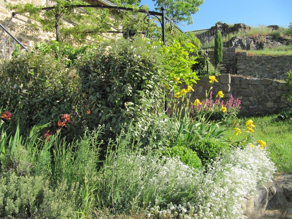 Le Petit Rias Gîte Soleil Saint Maurice en Chalencon Exterior foto