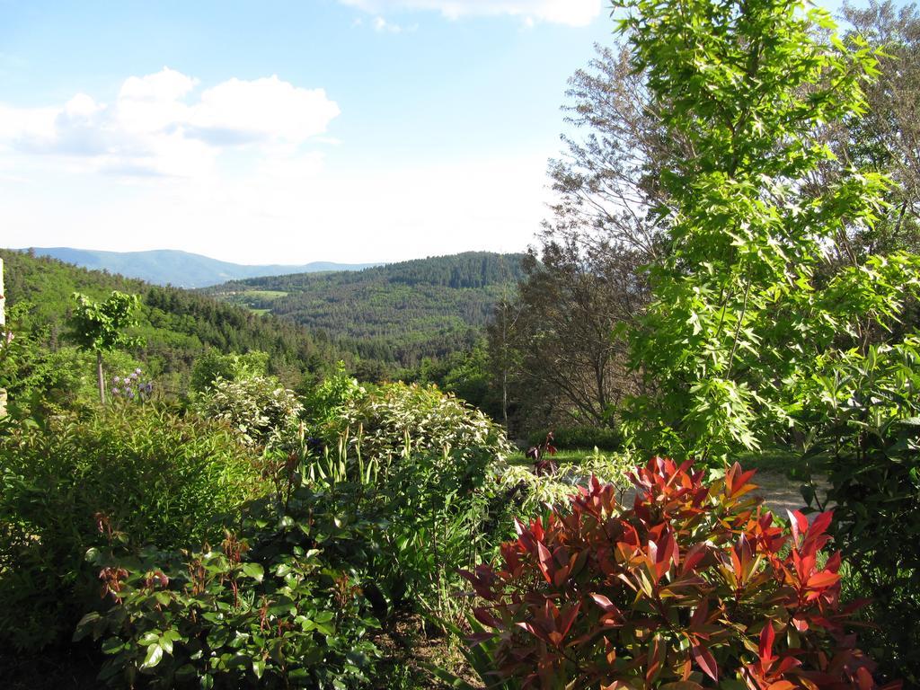 Le Petit Rias Gîte Soleil Saint Maurice en Chalencon Exterior foto