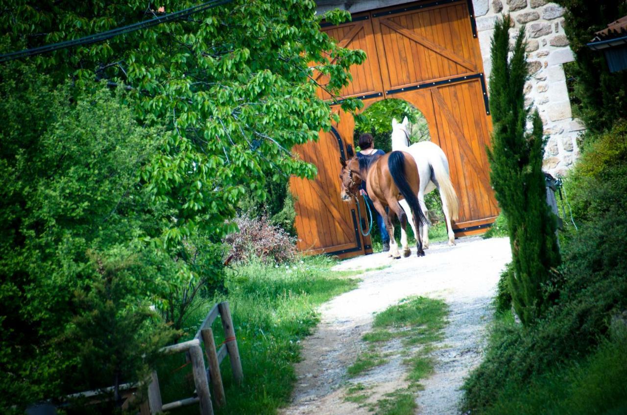 Le Petit Rias Gîte Soleil Saint Maurice en Chalencon Exterior foto